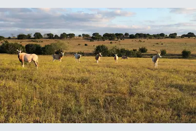 6101 Cr 208, Lampasas, TX 76550 - Photo 8