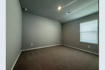 2624 Grand Canyon Street, Anna, TX 75409 - Photo 14