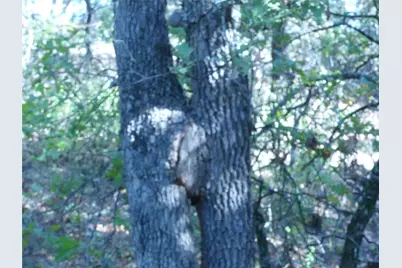 1746 Dog Kennel Road, Sunset, TX 76270 - Photo 16