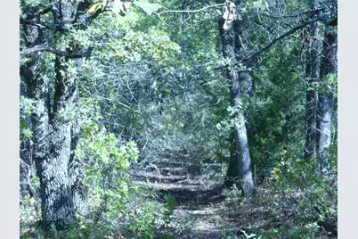 1746 Dog Kennel Road, Sunset, TX 76270 - Photo 26