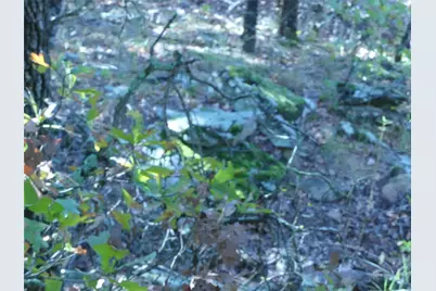 1746 Dog Kennel Road, Sunset, TX 76270 - Photo 20