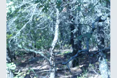 1746 Dog Kennel Road, Sunset, TX 76270 - Photo 18