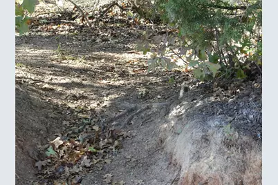 1746 Dog Kennel Road, Sunset, TX 76270 - Photo 4