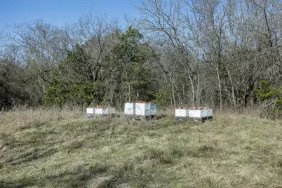 Tract 5 County Road 386, Groesbeck, TX 76642 - Photo 8