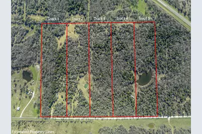 Tract 5 County Road 386, Groesbeck, TX 76642 - Photo 2