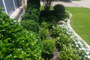 1660 Kimble Dr, Carrollton, TX 75010 - Photo 2