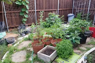 800 Santa Fe Trail, Irving, TX 75063 - Photo 18