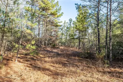 0000 Red Oak Road, Marshall, TX 75670 - Photo 16