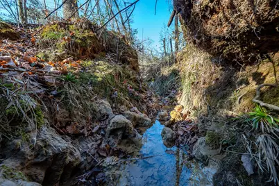 0000 Red Oak Road, Marshall, TX 75670 - Photo 40