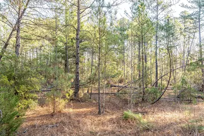 0000 Red Oak Road, Marshall, TX 75670 - Photo 18