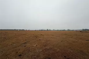 505 Co Rd 1442, Yantis, TX 75497 - Photo 2