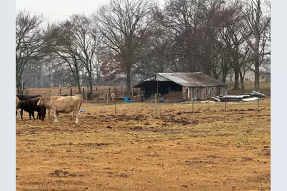 505 County Road 1442, Yantis, TX 75497 - Photo 12