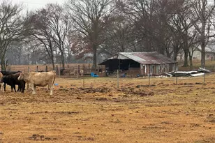 505 Co Rd 1442, Yantis, TX 75497 - Photo 12