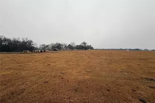 505 Co Rd 1442, Yantis, TX 75497 - Photo 16