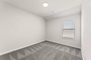 1102 Butterfly Dale, Lavon, TX 75173 - Photo 26