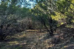 18800 US Hwy 180, Strawn, TX 76429 - Photo 36