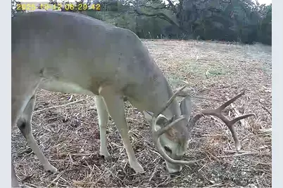 Tbd Fm 708C, Clifton, TX 76634 - Photo 2