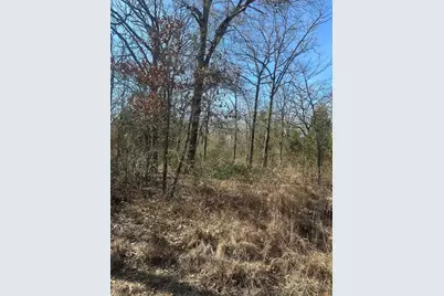 6149 Indian Harbor Drive, Mabank, TX 75156 - Photo 4