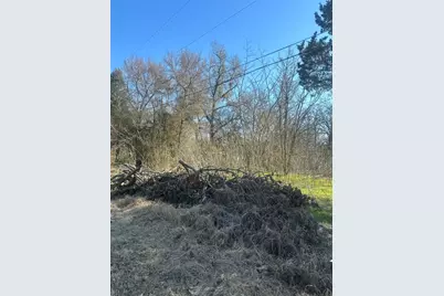 176 Oak Trail, Mabank, TX 75156 - Photo 4