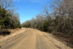209 S Cherokee Shores Dr, Mabank, TX 75156 - Photo 1