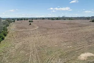 2035 FM1566, Celeste, TX 75423 - Photo 30