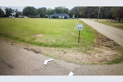 Lot 50 Hopes Landing, Pittsburg, TX 75455 - Photo 2