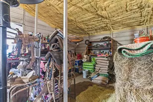 8261 County Rd 381, Tyler, TX 75708 - Photo 22