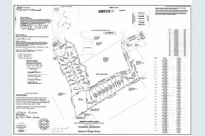 Tbd Cr 2030 Lot 7, Glen Rose, TX 76043 - Photo 2