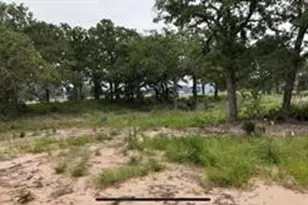 Tbd Cr 2030 Lot 9, Glen Rose, TX 76043 - Photo 2