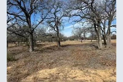 Tbd Cr 2030, Glen Rose, TX 76043 - Photo 1
