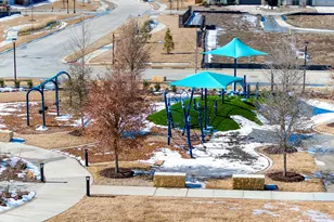 3117 Maidenhair Ln, Celina, TX 75009 - Photo 36