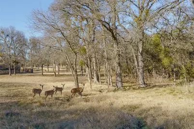 22156 Shady Grove Court, Whitney, TX 76692 - Photo 10
