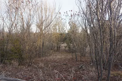 Lot 296 Shooting Star, Possum Kingdom Lake, TX 76449 - Photo 10