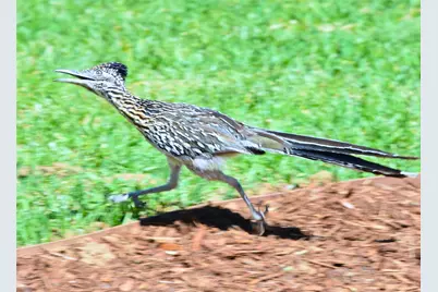 Lot 296 Shooting Star, Graford, TX 76449 - Photo 8