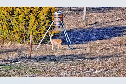 5800 US Hwy 82, Saint Jo, TX 76265 - Photo 12