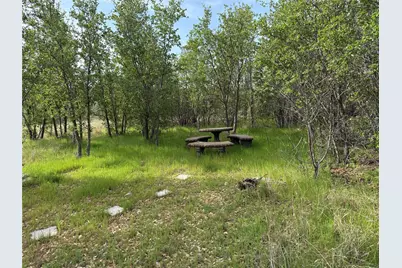 8072 Hells Gate Loop, Strawn, TX 76475 - Photo 4