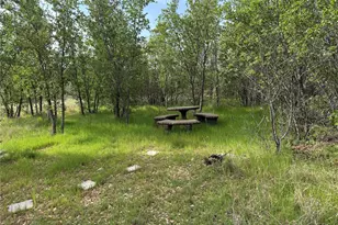 8072 Hells Gate Loop, Strawn, TX 76475 - Photo 4