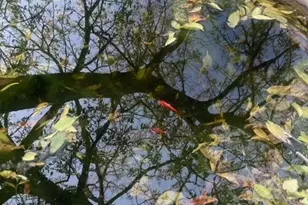 6645 E Fm 219, Hico, TX 76457 - Photo 10