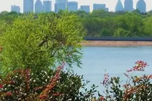 416 Mt Auburn Ave, Dallas, TX 75223 - Photo 34