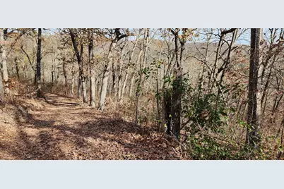 3405 State Hwy Jj, Branson, MO 65672 - Photo 18