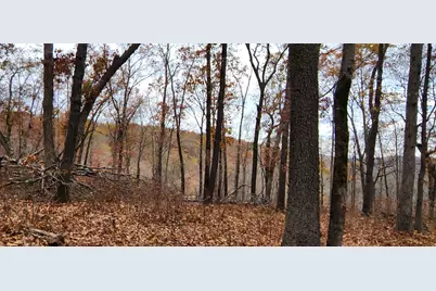 3405 State Hwy Jj, Branson, MO 65672 - Photo 24