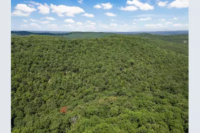 3405 State Hwy Jj, Branson, MO 65672 - Photo 8