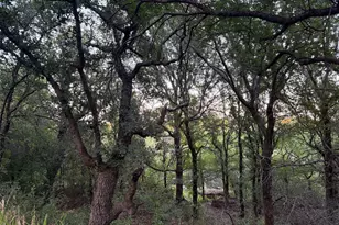 150 Timber Ridge Lake Rd, Graham, TX 76450 - Photo 20