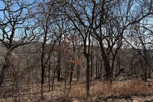 150 Timber Ridge Lake Rd, Graham, TX 76450 - Photo 16