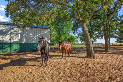 9690 Vail Eton Drive, Pilot Point, TX 76258 - Photo 34