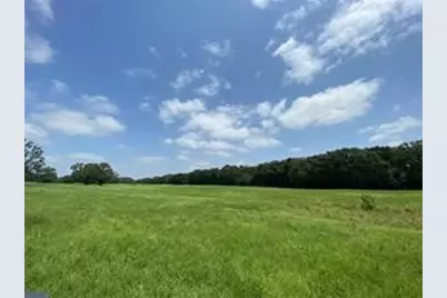 32 Acres County Road 2425, Como, TX 75431 - Photo 6