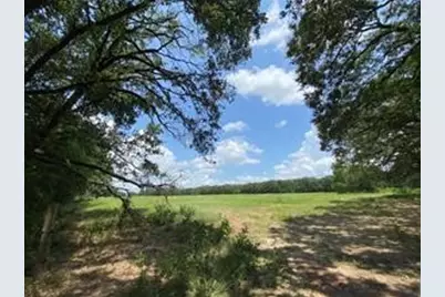 32 Acres County Road 2425, Como, TX 75431 - Photo 6