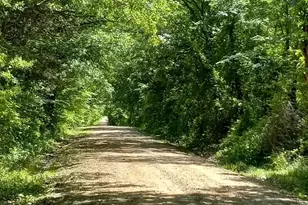 32 Acres County Road 2425, Como, TX 75431 - Photo 1