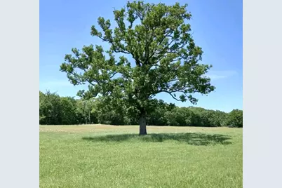 32 Acres County Road 2425, Como, TX 75431 - Photo 4
