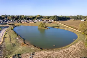 110 Rose Row Ln, Winona, TX 75792 - Photo 40